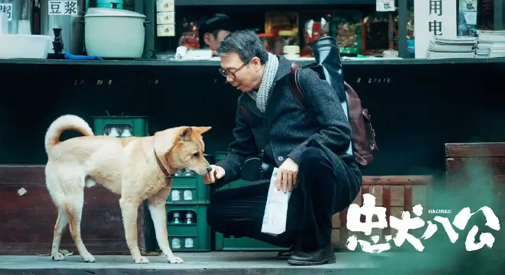 手机视频地区限制怎么解决