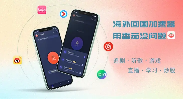 飞鱼回国vpn ios